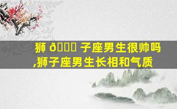 狮 🍀 子座男生很帅吗,狮子座男生长相和气质